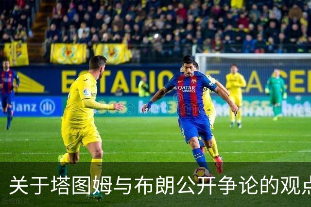 关于塔图姆与布朗公开争论的观点对比研究
